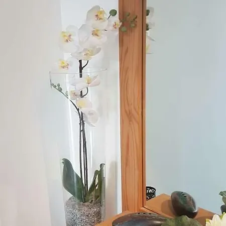 Gastehaus Phoenix Apartment *